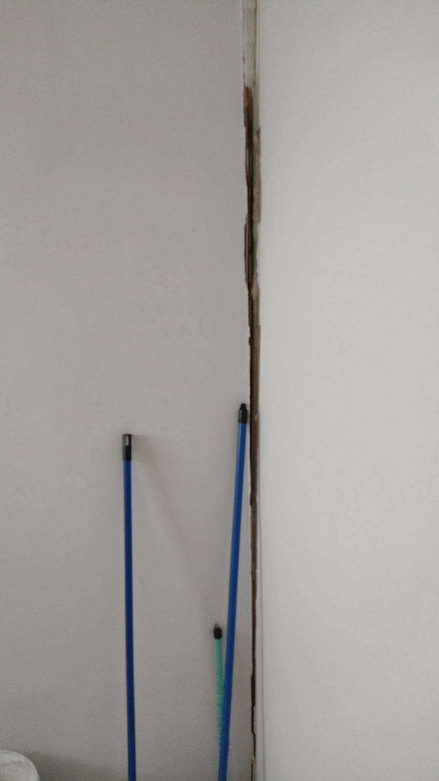 pn1