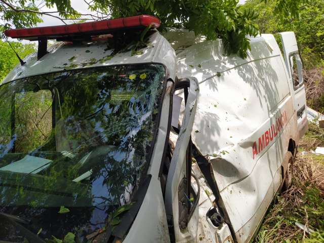 ambu