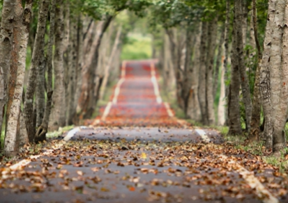 caminho