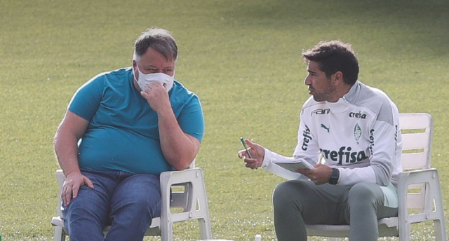 palmeiras