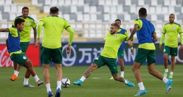 palmeiras