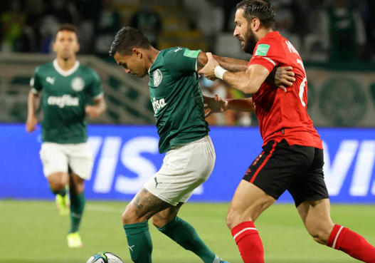 palmeiras