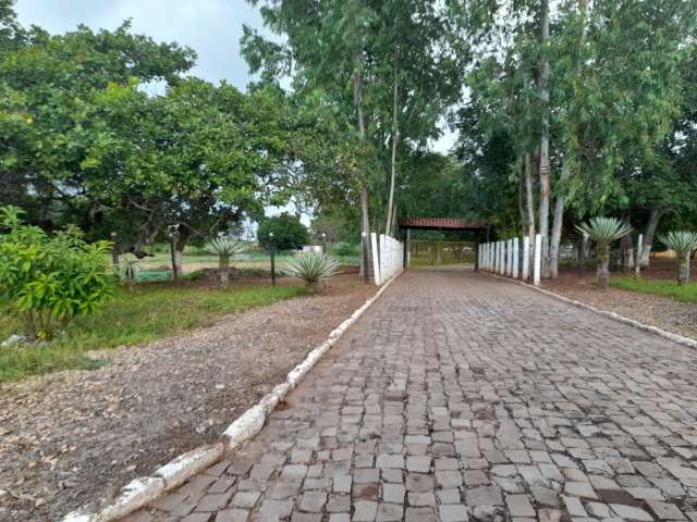 shallon