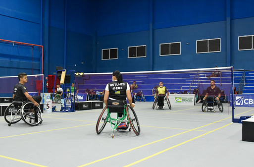 bradminton