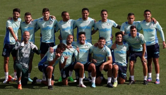 palmeiras
