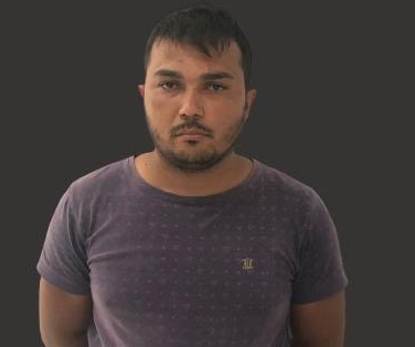 pauloferreira