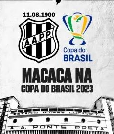 macaca