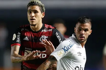 flasantos