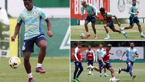 palmeiras