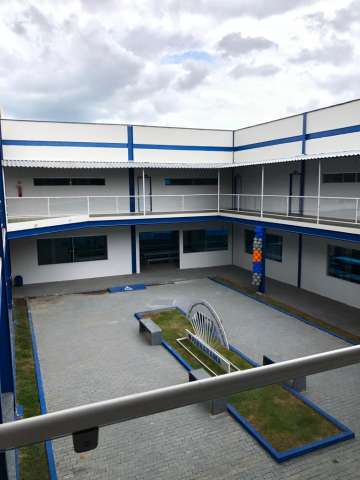clau5