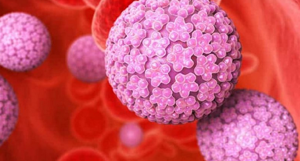 hpv