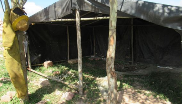 pedreira