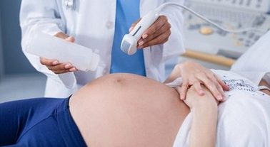 geneplacenta