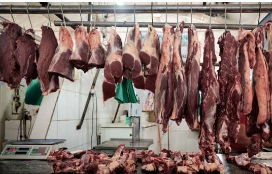 carne8