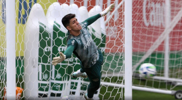 palmeiras