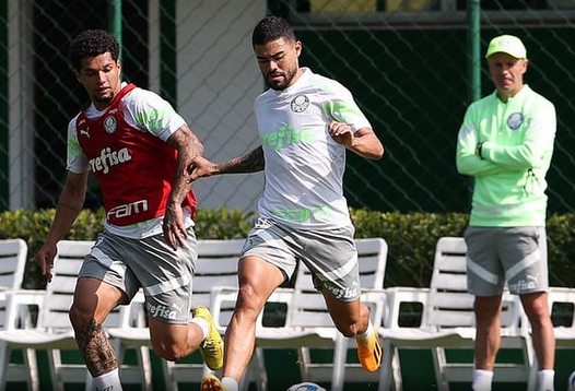 palmeiras