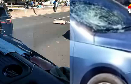 atropelado