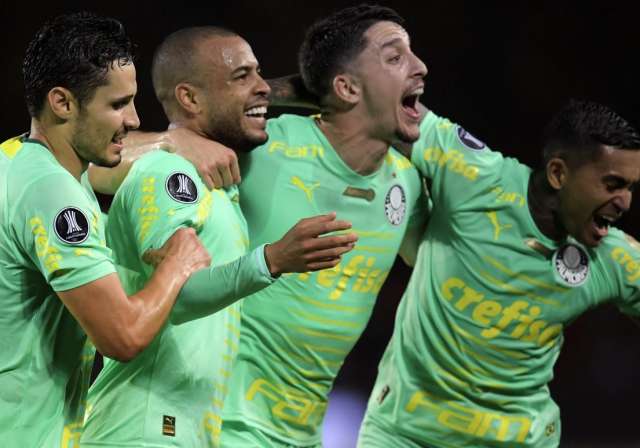 palmeiras