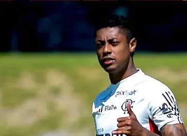 brunohenrique