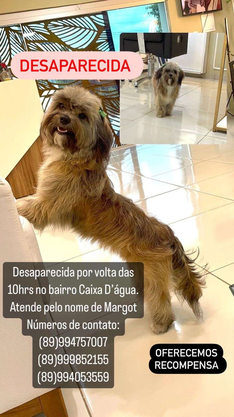 margor