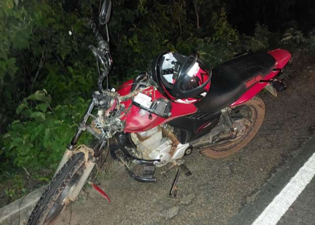 motoanimal