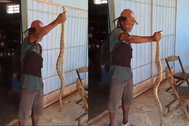 homemcobra