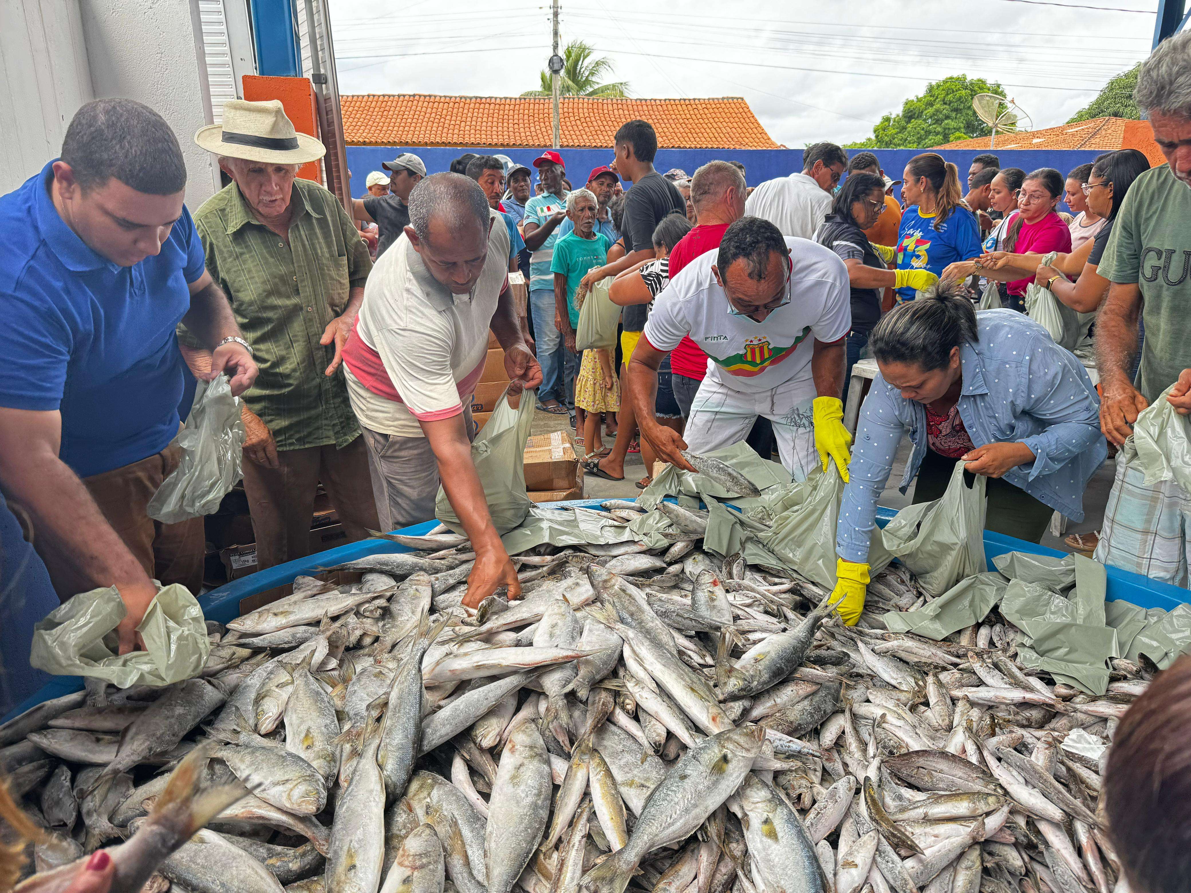 peixes