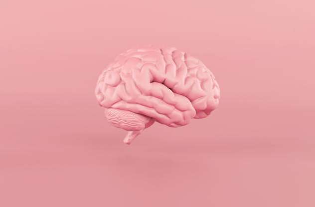 cerebro