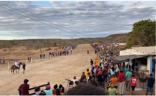 vaqueiro5