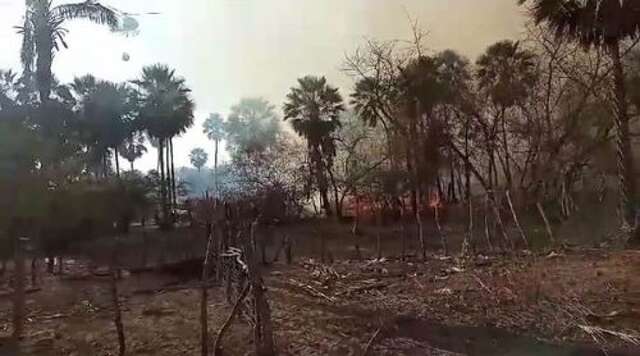 incendios florestais