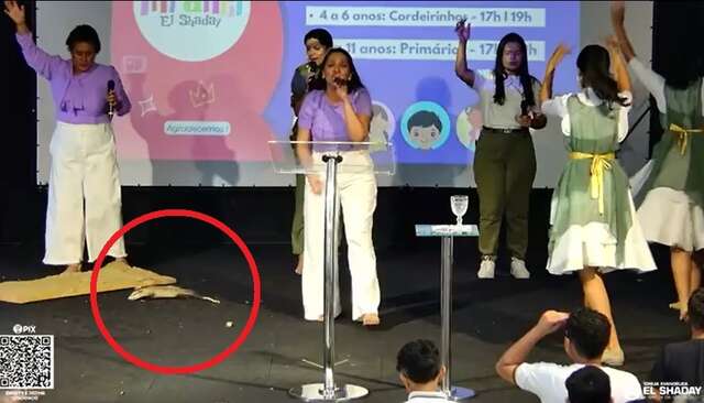 mucura