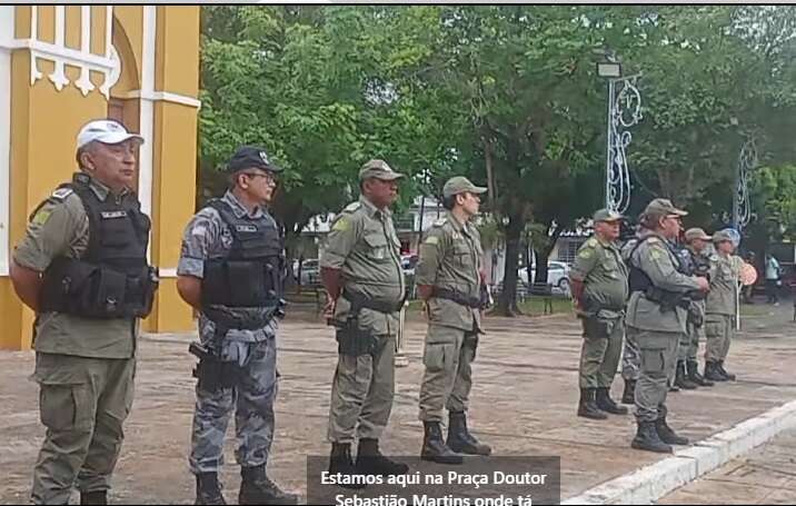 pmflor3