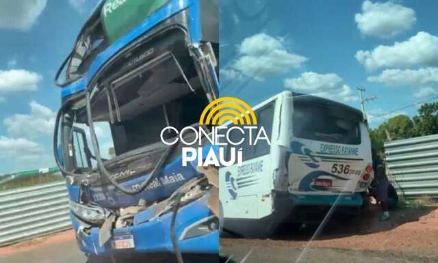 onibus