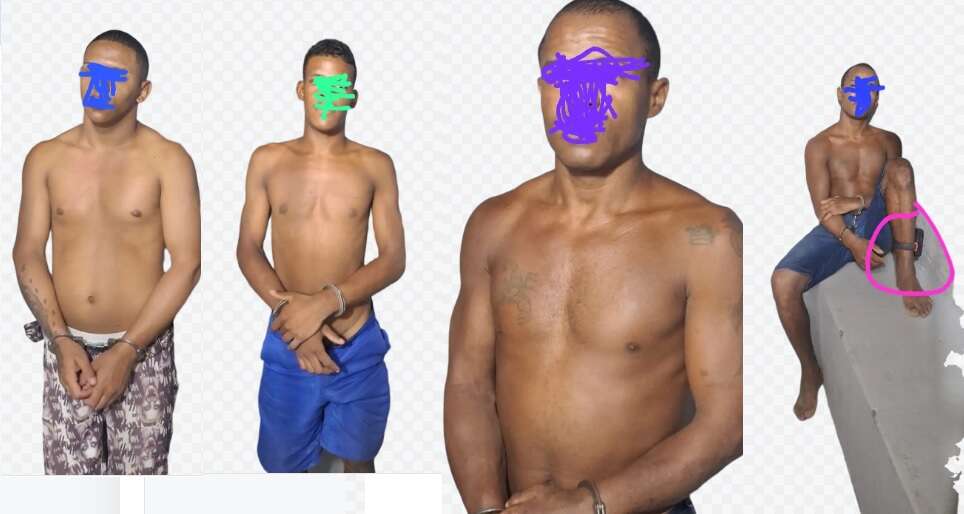 presosemflo