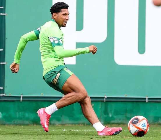 ronypalmeiras