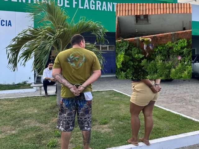 casaltrafic