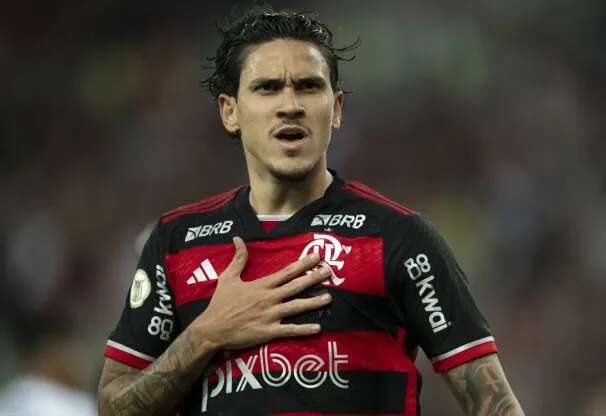 pedrovolta