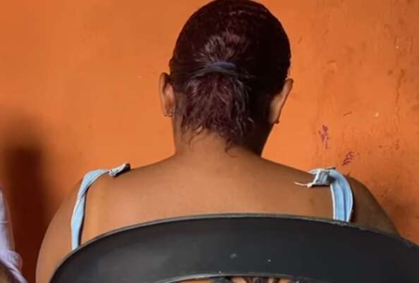clebia