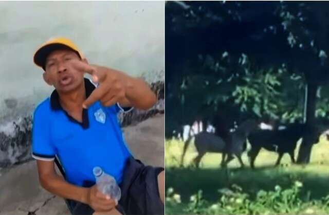 pisoteadocavalo