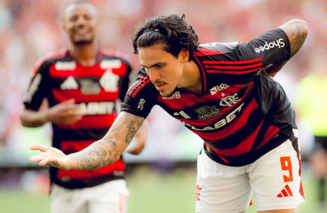 pedrofla
