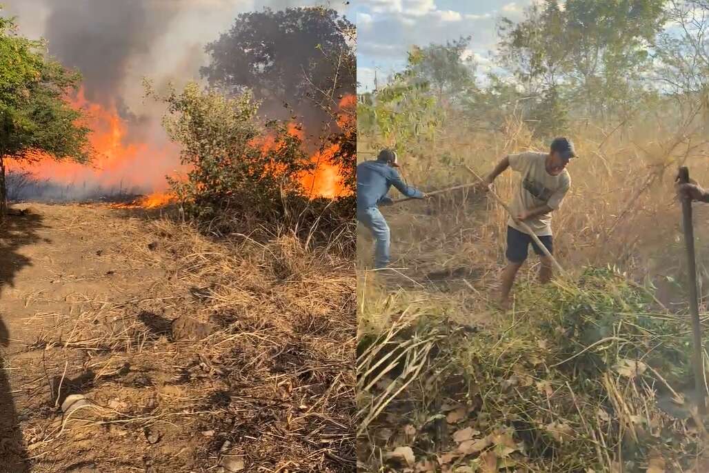 incendiocurtume