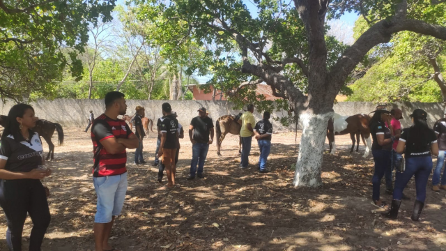 vaqueiros0