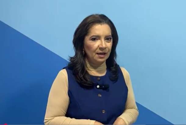 margarida