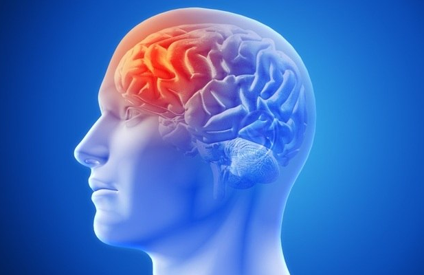 cerebro