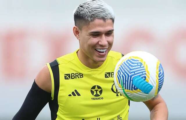 luizaraujo