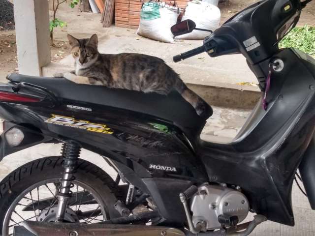 moto221