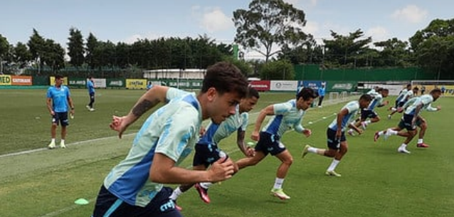 palmeiras