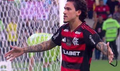 pedrofla