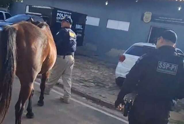 SSP intensifica fiscalização e recolhe animais soltos durante Operação Porteira Fechada no Sul do Piauí