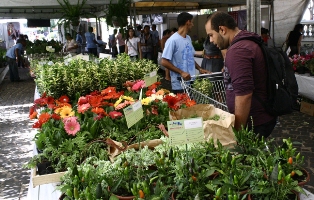 flores982012